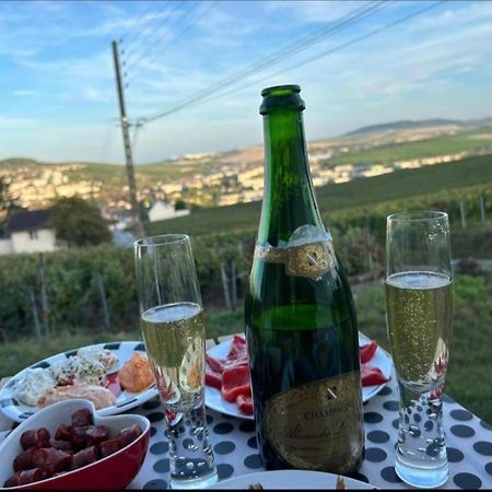 Dans Les Vignes D'Epernay Villa Eksteriør bilde