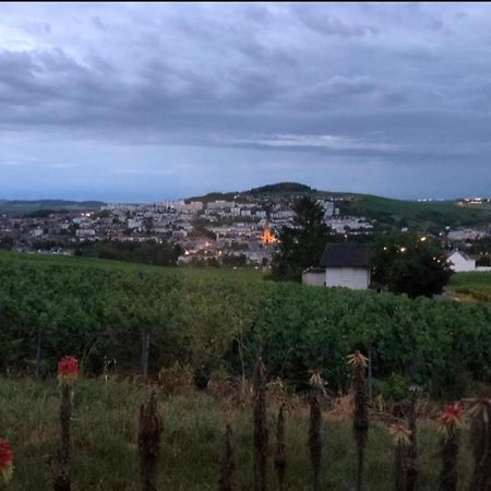 Dans Les Vignes D'Epernay Villa Eksteriør bilde