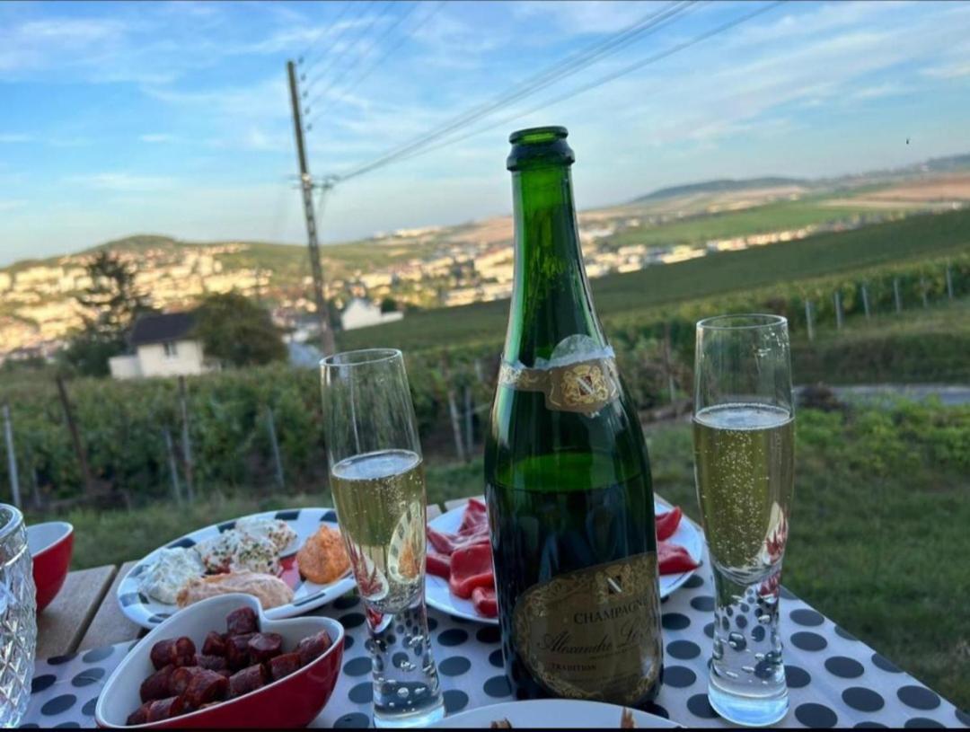 Dans Les Vignes D'Epernay Villa Eksteriør bilde