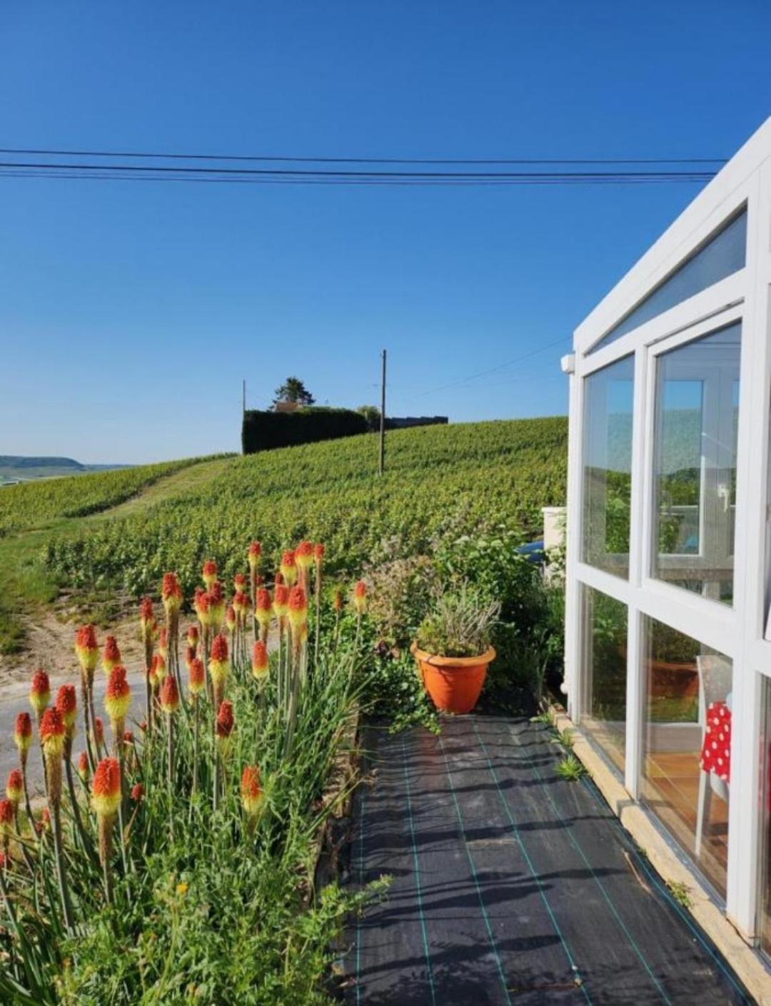 Dans Les Vignes D'Epernay Villa Eksteriør bilde