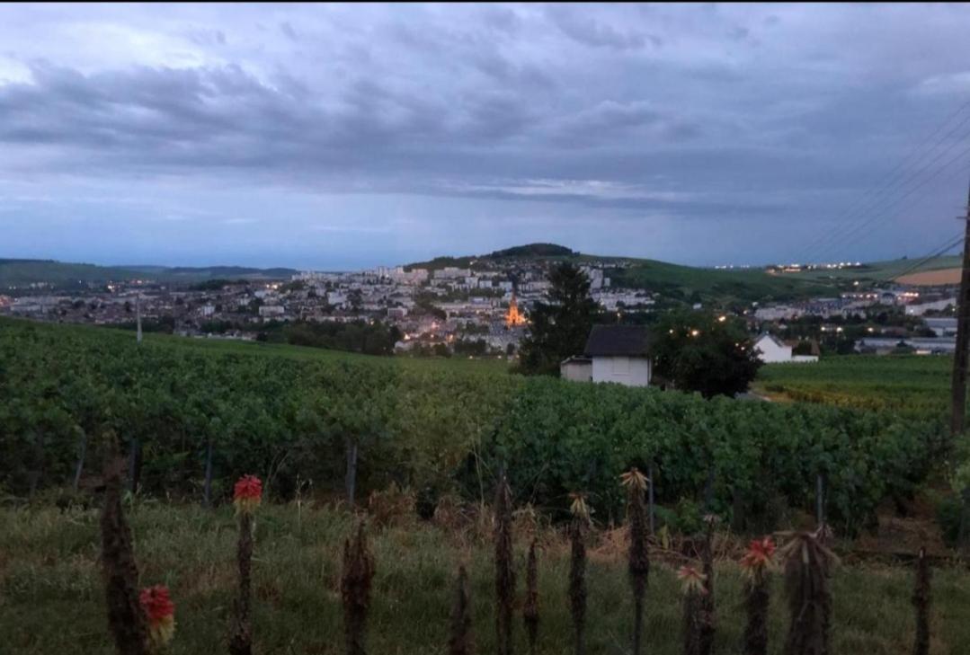 Dans Les Vignes D'Epernay Villa Eksteriør bilde